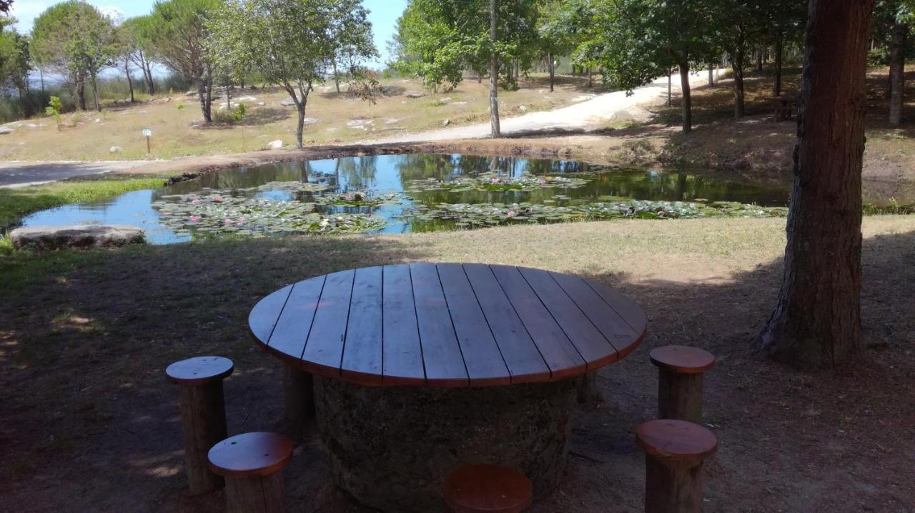 Quinta Da Fonte - Agroturismo Barroselas Exterior foto